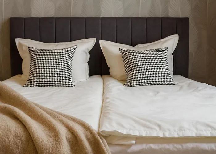 Appartement Neu Im Zentrum 2 Stilvolle Premium-suiten Mit Parkplatz